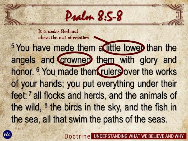 DOCTRINE 4 IMAGE PS ALVIN GUTIERREZ 4PM AFTERNOON SERVICE