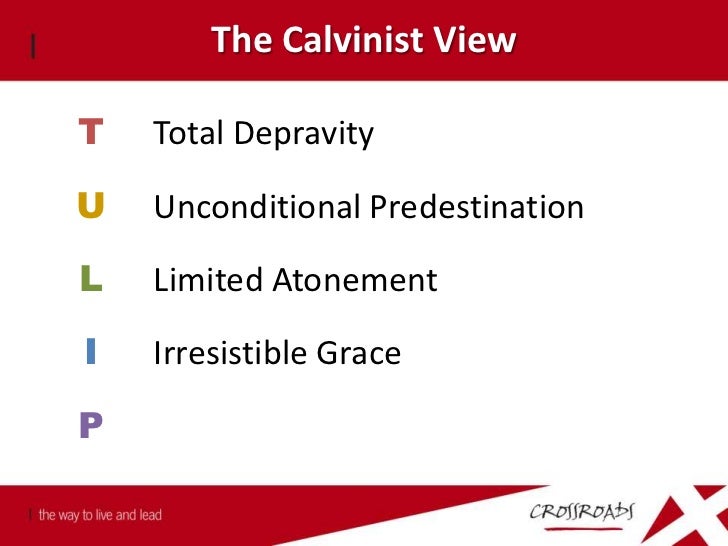 doctrine of salvation Virtually every christian denomination has a unique doctrine about salvation and the related idea of what does the bible say about forgiveness of. doctrine of salvation Virtually every christian denomination has a unique doctrine about salvation and the related idea of what does the bible say about forgiveness of.
