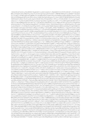 /ASeH3EjH7wOStsJRsSMSRP+ByQ0dU5+ujHDJvkwU2J/MxGbBDYI0rPDY81ON1HC/PrGUcwYS
MKccULhQOYtKVrfMwhVeyJOxtTo3fJTtVp5ZqIyXYf0Im66/NWPBb9HB9yTCztHHXBf73k2XVY
Vt12tgm2+JF0WTogXOcp0yWGM+UfcYA3Mkhkg6JvVeKt4Pyr6vOddkg+xDbFnNFBsiGvyUJ+FTD
SNie2aYKKmQaAJQPtbuejR8LcShylIbBRjBscpHiBZayscJc+SevjdGF4T2WUNFXEhBu4c5Fa6B
YXEVXoEfCnEmk+8zDthydSimq522PbSR7m6uY65QLB0Xx/KTLjlJ05ZRrBYBC+3L7jjup3LgaT
zAwa31t/5y4Xs6nwKTa4FhKi5y4dzm27pLSHGrvqsHRyJslJdP/Y7aJdR6LQURjkK3NYl5CvZ
LECoJ7dev6mMGpeUhP7mruXn7q/1QC4K2wvcZBSHTduo+CtZ+dEEtkFuRvcq3fsJ6jITkgXPVm
x84u0a9zRr5+J7RjVAUhxtXqyqDtE/f6Cb8X+lZZx/NCD5ZRy2F6hnoijKFqTZwafe1JUcvDQ
Is6nPfNx0S/Yl0CMnFkIGsnVVqvUATZ+r6YYyaGwP5EEEIRxba5rBM5GcaVShpfZ7gSVUGW3Yj
FVCV46A2onkOjQLCrB1h82Ui1WkgtucPIMZy/GZ3gZM/PFXv7FKdNI8z/OqyfZCS3cmtjHTk
D1+IpQQmrl6sAgUAi8gxU80zOr6FR5yJ/nTu48uEZshNEbNBYvWDwpFkVCu67EUiwvFm5otQQP
Z5CD3JEcycbghoteb9O+rNZWoowLpmVphXNIc8rsn0xXKTqGyRAJ2u+2+002lrA5PAnEcoB3W2Q
cy2G3T0xsCG3enSrsOziF7W/huGeUDsHGdaYChnjuG6wcZ1VcB3ovCe0VBRPyMjSus49qOc/2
GqCkTkNMbFztpKCKv00K0rLIFvyuFiEc/0xyDCEzJkLmBIiT8u8Q8vipRDYH80yOjIvznI9bm2
0BlqN3Qb/9gqEyVUbN4EXop3NzRuIcQeKQdYZNJd6AtCdtzjoLNUcOm578uytkiaEvvClN0Th3
UQPVQTV6KiMHiSYhnpeFLMtxht6fN8c1J16OVX3kyTWu9JkRu0tgr7B5T+ZIUV5+kJZLWWS9oEM
fDQbjTd148gXansZUBXChx/XKOb1CaboSdUv8B6w0YuC5mUmKOG8lj4TdMd+wewonfhZX4CXOT
tbo4D8cWSHHnFJhuZEybcqk4re4QFayc/+p/4BW6svEfoyHMfq3s0LQnlfHWPet/lwEKPqRl
5fneIrkx+km9BvF+IjmFx94D+YTjg6Cf64XrmA2KDT7GqHA/+mdfsaQfTqZ+33QLyC3JQ9uCzr
O6gvUfpvYjlOHIvBI99m4JZw0SdKj8L3qe+i1HiEniESSvJufogjUbylZj/JXoFYOaY1+RhRYM
BL3HQZ5l5qwn2pWpd58qocTcFlRvYSba218k4H6ZlH+M+pZw7WCC8iraZlssHGyqel0JThQFa8f
lqClwBoFjbrJq5te24SSbhJzG2/WRmB0mUR5thVEf3JltvQqbIPnBs4Em0NbICkqTCRcXwbhaS
kqmypMzBH01CWM4EpbJHEs/ebQNCk6IdPV4YhbWu/84gi09woaDpuEvA2ZqzvfeU2rhZ29V3Y
5AeVRItKIi030vpeL3IZdOtJc+YoHoxUyh8EUpLtJHLZxhNJBQvU6ILawxa8i0OaQtsdkTOo1oQ
5wKffvZ0L/po9k7u/ElbnqgDjJxGi1oeE4x99mO1GdziMDvsmC8X+qQQD8ey+fJg7G8uF1ARI
ihw9byHvrJVWp8sy0Y7CiGdG+qDtMXvbqcn57mRSCIJRhOD97QscWg5CSxrz12PZKS9yh2m/6J
5XRcH21x3CPdTwSLi0jzRBlijxGupuIG1Ilu1MAQnRYf4JfncN4hmyQacUrOEeIz5le9NjVW+iZ
GFGdXyFmZfHAXKK8CZM/kjQN3r/s6QM1D3BSY1k+kIhswwCsC9C6mQoZTttnarxc6aSkzcnZ2
hPGMtnmJbb5W0TW5Ie1bOd2+UbaL8j8K/VLq4n6w2loRMR4S8oSbe8LyRXcLaTj6wNnHOuFxG4
pCtRuS3A/ia8QHiyln9fRI0k+OqPv1+3q8IquekslFibq+14XCUC4cxp6a7RX43LpT8tBD8Buc
KcgFAhHORsvOFICWQAV0Z5SSlSijkuoKItIA+JQ7IGD6gbcgux7Ge0kRoyoqrFOpT4Avzm6mm1N
EmxB1QZPL1Pyi9qKgLKoC9uXdODN7uXKjJVfRgzE4IdpwvC4Puz8zGCFkt1ZuIG61OPms8o2C6C
OfSZy6Io21/obGcP0/Gm1pG1tDPXn+PV1Nf2u3HdKusLtX/QYBia0etv56aakuuXEke8o/8
245JORDklG3RQIEgnWFDCUSf8K7snni776Kb2+mVfjGlEPCvhs2d9oJrFqB3FGs4TZB+m3atkop
AjG8MNapXlkZXeuK1H0P8AxWCf4FtP+cjEWhM3BiGotNWbU4gsgMQ7+S7r1EBot63VQqa/V9vl
7QdXtCxQOCAmc/yxVulRZteRPcnbt8nbO5SHAJWIJTBUHysg2A1zCCksQg5rwWWoScS8GsaWeI
DhuCW4aUcDEDLfxgwFom9T4t6zNLx/RQHPLRCkK/SURTGz/KU/Gbh6UsKtq0CwgcUx2mf42
WnRWhyNAr2UQ8+lfeqxnB4VPAPW3UhXqu2E/OEmqqWCeHxmYdTJfkeQ0o+7zwKfKiZfd8n/SS
RosBA8NAQ8BebjycHn4KdDX6HKQbcRoJDJ6ISvzHUcSWiAVeIH3kDp5Gr66QRH+uCevmNselvp3
ayL8WusHsbb1UDTkBU/Tp6sAvDWa3qb84m2PmUk0jNODB75XZ47AVw0FNZwoE9znwAWPutblqE
uUm0tr/NLbfx2+7VEmjjnBep4S53eadOq86ecBYcZ+rQ4uLW54J4CW7tR54VYCf3krvqrBBOnL
Tr8a4u55ZXUwKOQVHmGXPekbacEKrB2820q7gFs+LMWUu56pSbFPsKZuk2gix89xuhGPS3dS+rJ
RbeQJDjONc7k55jcCQNVy4N42zD7bU/bu7p1DkbEO22OlYljVuVYXX0zbp41Ttciaw8Mo6RgMv
EkLGeq1UrMQjHIAsh1R5EmY3DnfbdaSEitYLCoBhvhMPLgz2r9Jc/DHLai8dKQ5ma9E7A3IqvI
GtBkVh3bzaCwitFkQMdDIdOP7r16DswZdLKeBXAUaBG5ogFWvgYvUFwv3bvD+IlTgCvNOcur4Ks
qqbHab+u5nY7KPQ1PYz6tJ86r6DFAdjJk8e1TRDtL4rNGWit6IFU4m4nEjOQNQKkz/P2mnJV+s
4NLk6qNiYcOYU5lGZTZP2+k8h0+QErEHkXviiPbW4Zv+3pVmJPDZYThokvniYdu49y+l2WvIHZt
ferUo/cHNUEHUx52doNQwC+hlaSkheVrskJU/y/7oqZPCcyWoEfRlMc5kALEfFAWpniiLc5D
k3jwjhWffDLJIxmGU11HuPPZ7vOiL9tXANAIIbrWqUbKLk/oIvoBK0WLYfQ0vG92+2iR4lObIx
WRnXDNiG9CY0O24K6mFYoOQlfWkVHH1rJiWkl36MWkMkbdOnz1XrRFq4BanR9kB3+Wh5k4ISWKL
c+06npf3xrR4NuOYZjZeHpiOpo6fPnUJzlN9rsBSti2SmfWf3R4+lPbnhC08WfRpCHl8yqIP4NO
k0RNUCnY2YuvawIXNh+m2nhD/mNbaF/GhV+vXfEYOWMRt5pL5UCwL8bhpH8i+BhzJ6VTHSECU
qYUfS24745tCsrgYNKWXuPaujxrVeAa1UvuIiAuPQNyVfYAXIvacoAQ6jCW1xxxh2icsUwJ4J78
EMlumKftkR2Fe0yQjGbZWwj90kUqmNiNMmYGVCsGIWzzRUAosWBbkdQjOUaE+ksfV2JI/Pr5Kq
FX/6EhyRqUNBYxWDlacFg97dpjPHGqvBYstbChPgmG22H3tATed2QsluxgXCHUwTzqyON3z39L
HkR2DgrxeRjVZy/bCe+muBCE988ONKSXVUyj3W4ZAids5Bc5q0eVMGuBS4dOVpI+NtZnFUAuVK
S/Epj3ipLiiYyXWLP7Vq3YsO91lBYexQY0kIRDxzEYHRj6LacueGlgpeVxXYn25hCoAFDih+gd
/O0SFYCyjFouW4nW8DjONXCTOrFvC8SBL7SrpTcQz8doOP/UZ3m8vRgYle+b9e1KFtdSqo/p
3Zt4FTNk0hPmonbyqEkRqLiwinHeQtwA2DnMeyrGwKKYYW3oD8gqFKRKsAK01n8G7sE6FCA/1T
LHTBptKNBsFKDLu6pZmPKUysKwBIk5MMF7K1YXLLeSBoYY4faud5xiTtM17qrtZOdHLl1zE3UT1
7p7iW4xxm3kK0XNn7776eHb/ExVZlGyCr0EoFBgDB0gZv2z8N7yv6K2v3DR3wb7QxIzrwwauo5
 