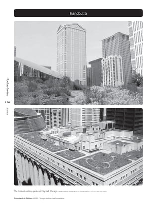 Handout B
Rooftop Gardens




170
Science




                  The finished rooftop garden at City Hall, Chicago. (Mark Farina, Department of Environment, City of Chicago, 2002)


                  Schoolyards to Skylines © 2002 Chicago Architecture Foundation
 