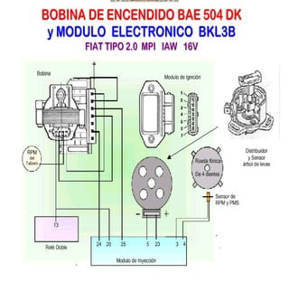 Documento sobre inyeccion Electronica