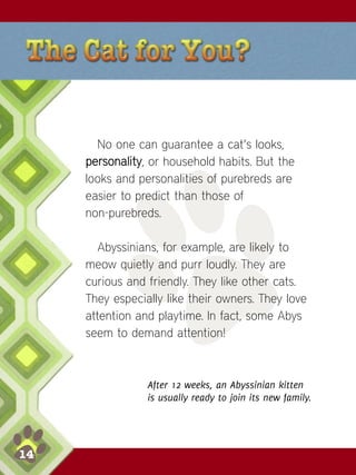 Abyssinian Cats | PDF