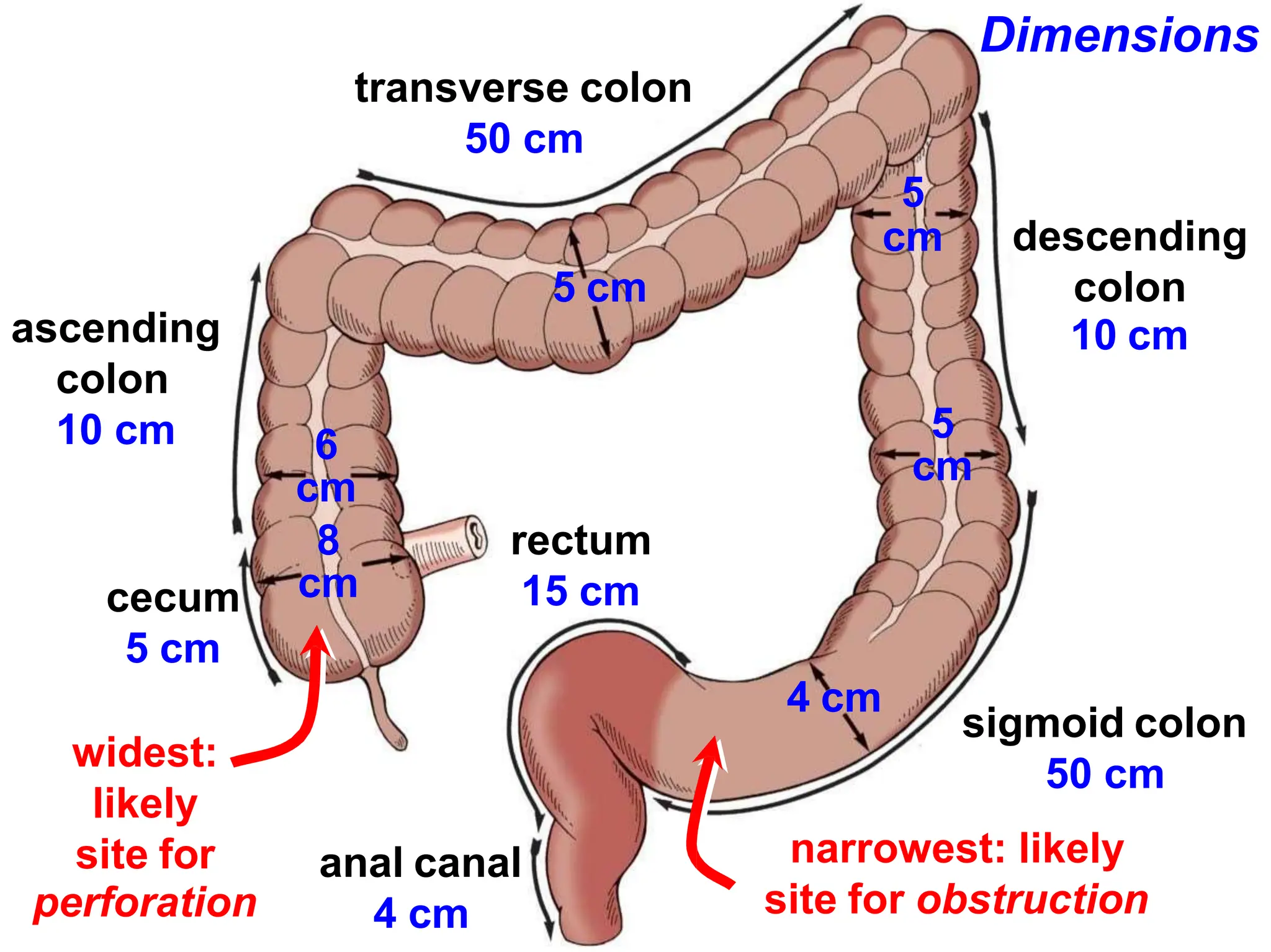 Document pptx document-pptx