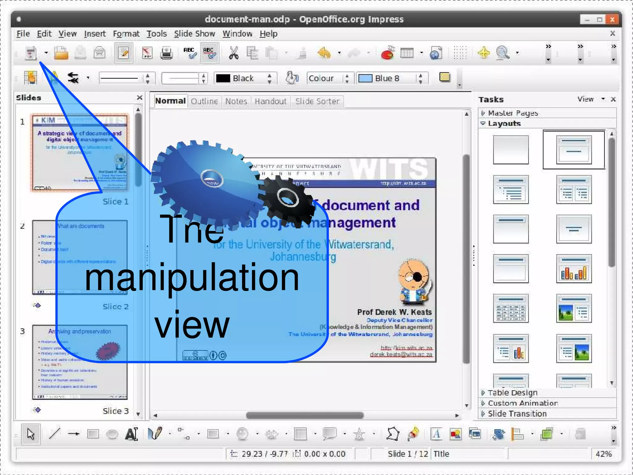 The manipulation view 