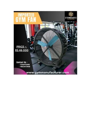 Imported Gym Fan