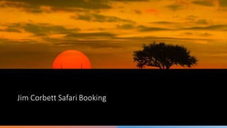 Jim Corbett Safari Booking
 