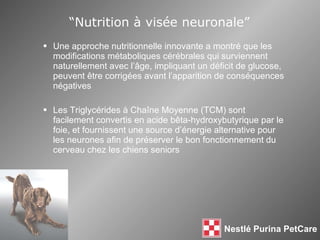 “ Nutrition à visée neuronale” Une approche nutritionnelle innovante a montré que les modifications métaboliques cérébrales qui surviennent naturellement avec l’ âge, impliquant un déficit de glucose, peuvent être corrigées avant l’apparition de conséquences négatives Les Triglycérides à Cha îne Moyenne (TCM) sont facilement convertis en acide bêta-hydroxybutyrique par le foie, et fournissent une source d’énergie alternative pour les neurones afin de préserver le bon fonctionnement du cerveau chez les chiens seniors 