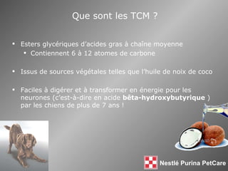 Que sont les TCM ? Esters glycériques  d’acides gras à cha îne moyenne Contiennent 6 à 12 atomes de carbone Issus de sources végétales telles que l’huile de noix de coco Faciles à digérer et à transformer en énergie pour les neurones (c’est-à-dire en acide  b ê ta-hydroxybutyrique  ) par les chiens de plus de 7 ans ! 
