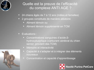 Quelle est la preuve de l’efficacité  du complexe ANTI AGE ? 24 chiens  âgés de 7 à 12 ans (mâles et femelles) 2 groupes constitués de manière aléatoire Aliment témoin ou Aliment témoin supplémenté en TCM Evaluations :  Concentrations sanguines d’acide β-hydroxybutyrique (carburant cérébral du chien senior, provient des TCM) Mémoire et interactivité Capacité à s’adapter et à intégrer des éléments nouveaux Concentration et capacité d’apprentissage 