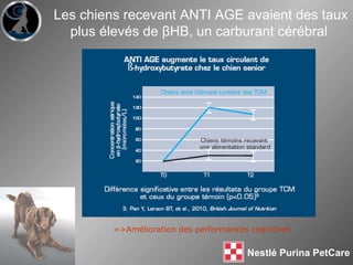 =>Amélioration des performances cognitives Les chiens recevant ANTI AGE avaient des taux plus élevés de βHB, un carburant cérébral  Chiens du groupe TCM   Chiens témoins  