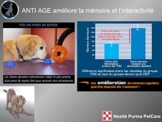 ANTI AGE améliore la mémoire et l’interactivité 