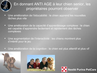 Une amélioration de l’éducabilité : le chien apprend les nouvelles t âches plus vite Une amélioration de la capacité d’apprentissage complexe : le chien est capable d’apprendre facilement et rapidement des t âches complexes Une augmentation de l’interactivité : les chiens montrent plus d’intér êt pour le jeu Une amélioration de la cognition : le chien est plus attentif et plus vif En donnant ANTI AGE à leur chien senior, les propriétaires pourront observer 