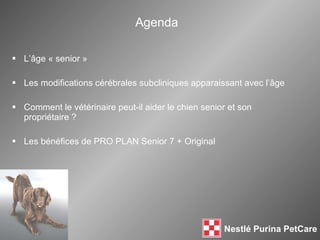 L’âge « senior » Les modifications cérébrales subcliniques apparaissant avec l’ âge Comment le vétérinaire  peut-il  aider le chien senior et son propriétaire ? Les bénéfices de PRO PLAN Senior 7 + Original Agenda 