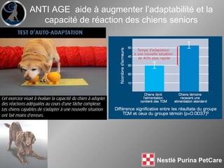 ANTI AGE  aide à augmenter l’adaptabilité et la capacité de réaction des chiens seniors 
