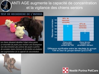 ANTI AGE augmente la capacité de concentration  et la vigilance des chiens seniors 96%  de  réponses  correctes 87% de  réponses correctes 