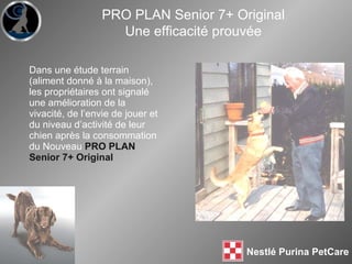 Dans une étude terrain (aliment donné à la maison), les propriétaires ont signalé une amélioration de la vivacité, de l’envie de jouer et du niveau d’activité de leur chien après la consommation du Nouveau  PRO PLAN Senior 7+ Original  PRO PLAN Senior 7+ Original Une efficacité prouvée 