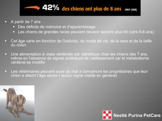 A  partir de 7 ans Des déficits de mémoire et d’apprentissage Les chiens de grandes races peuvent  devenir seniors plus tôt (vers 5-6 ans) Cet  âge v arie en fonction de l’individu, du mode de vie, de la race et de la taille du chien Une alimentation à visée cérébrale est  bénéfique chez les chiens dès  7 ans, même en l’absence de signes extérieurs de vieillissement car le métabolisme cérébral se modifie Les vétérinaires peuvent avoir du mal à convaincre les propriétaires que leur chien a atteint l’âge senior  ( aucun signe visible en général) 