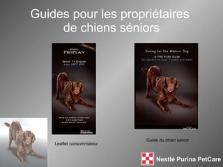 Guides pour les propriétaires  de chiens séniors Leaflet consommateur Guide du chien sénior 