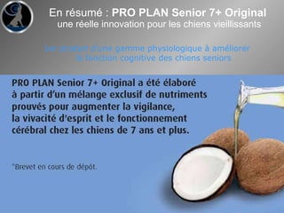 En résumé :  PRO PLAN Senior 7+ Original  une réelle innovation pour les chiens vieillissants 1er produit d’une gamme physiologique à améliorer  la fonction cognitive des chiens seniors 