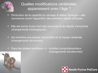 Diminution de la capacité du cerveau à utiliser l’énergie – elle commence avant l’apparition des premiers signes cliniques Elle est suivie d’une mort des neurones & de dépôts d’amyloïde (changements histologiques) Qui entr aîne une baisse irréversible de la masse cérébrale (changements structurels) Dans les stades terminaux =>  troubles comportementaux    (changements fonctionnels) Quelles modifications cérébrales  apparaissent avec l’ âge ? 