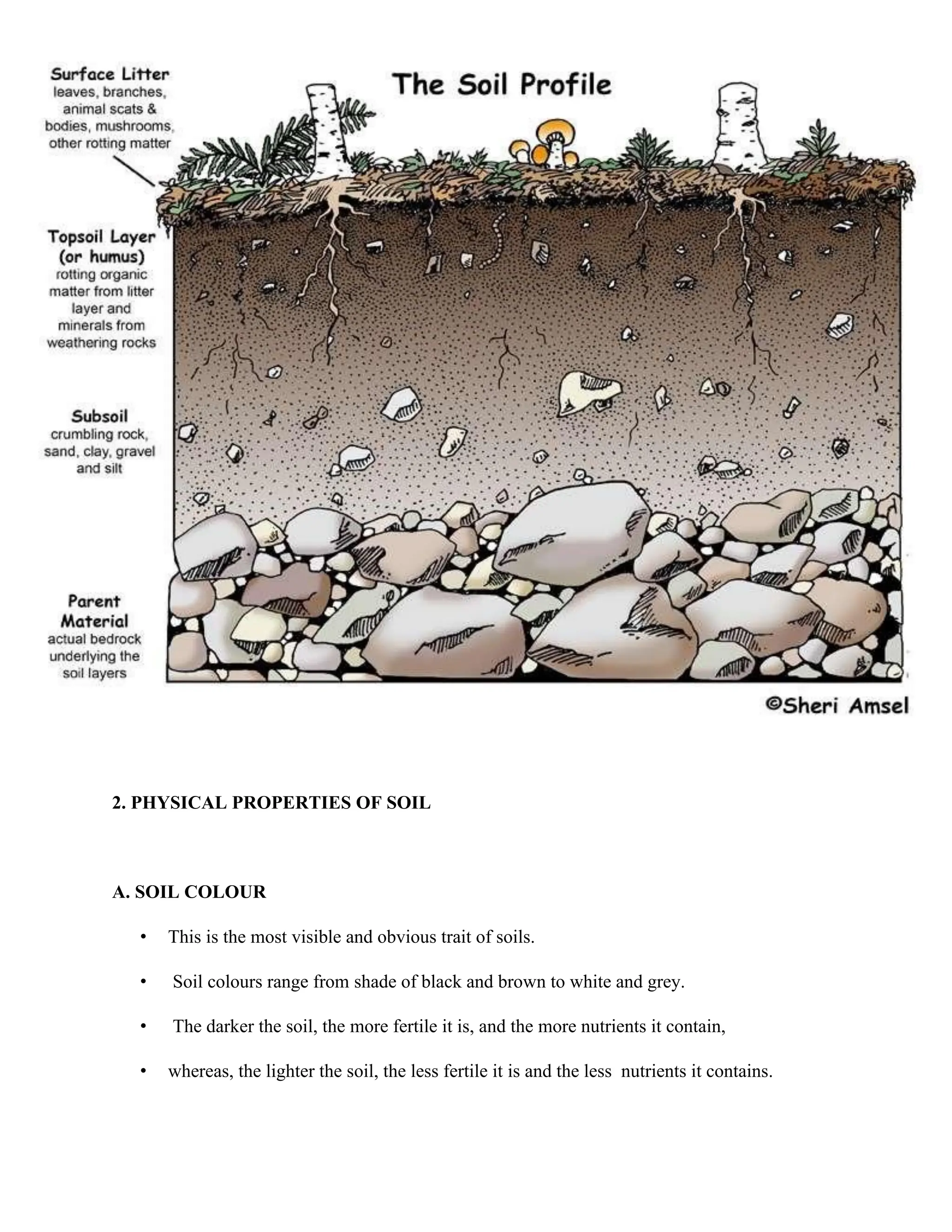 2. PHYSICAL PROPERTIES OF SOIL
A. SOIL COLOUR
• This is the most visible and obvious trait of soils.
• Soil colours range from shade of black and brown to white and grey.
• The darker the soil, the more fertile it is, and the more nutrients it contain,
• whereas, the lighter the soil, the less fertile it is and the less nutrients it contains.
 