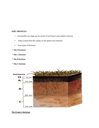 SOIL PROFILES
• Soil profiles are made up of a series of soil layers each called a horizon.
• These extend from the surface to the parent rock material
• Four types of horizons
* The O horizon
* The A horizon
* The B horizon
* The C horizon
The O and A horizons
 