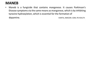 Maneb Structure Document (3).docx