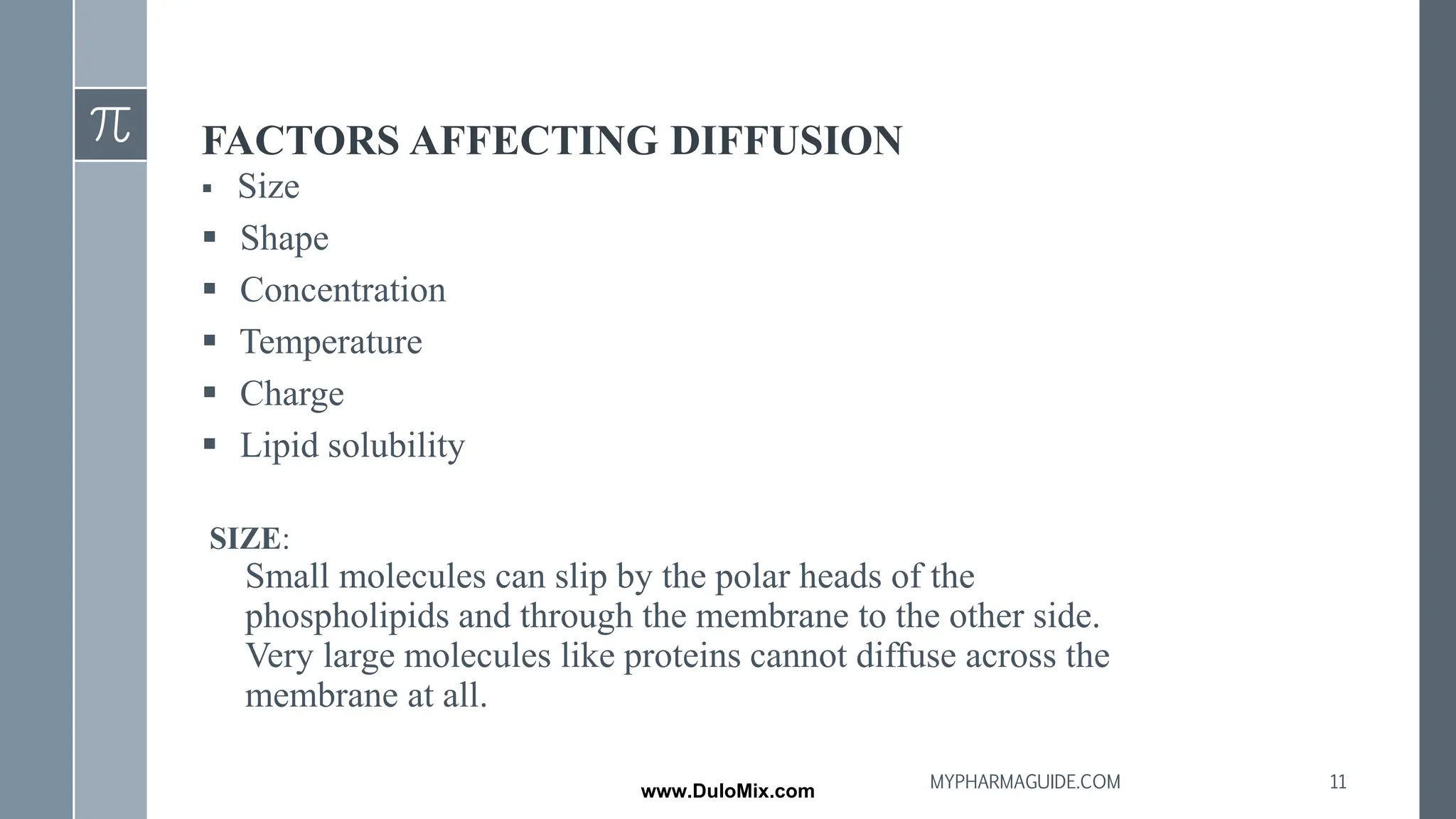 FACTORS AFFECTING DIFFUSION
▪ Size
▪ Shape
▪ Concentration
▪ Temperature
▪ Charge
▪ Lipid solubility
SIZE:
Small molecules can slip by the polar heads of the
phospholipids and through the membrane to the other side.
Very large molecules like proteins cannot diffuse across the
membrane at all.
11
MYPHARMAGUIDE.COM
www.DuloMix.com
 