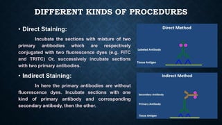 Immunostaining | PPTX
