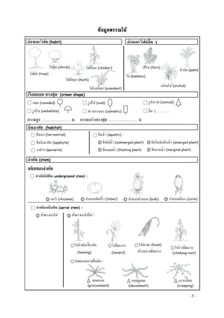 Document 7 003 | PDF