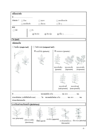 Document 7 003 | PDF