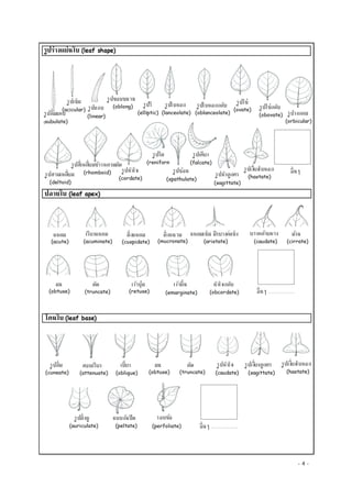 Document 7 003 | PDF