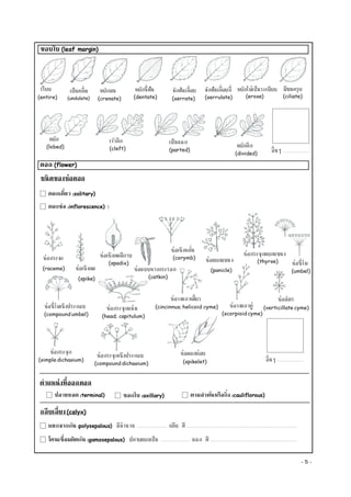 Document 7 003 | PDF