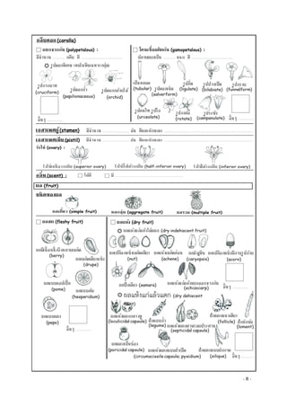 Document 7 003 | PDF