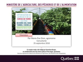 l'optimisation de la récolte de la cerise de terre cultivée hors ...