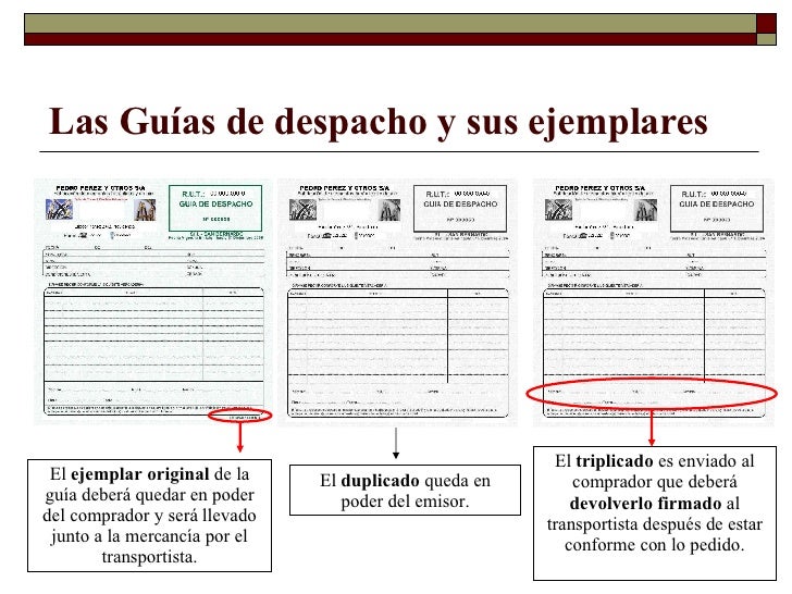 formato de entrega de mercancia en excel
