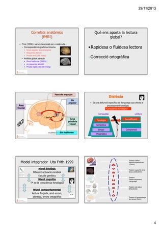 29/11/2013

Correlats anatòmics
(fMRI)

Què ens aporta la lectura
global?

• Price (1996): xarxes neuronals per a cada ruta…
– Correspondència grafema-fonema

•Rapidesa o fluïdesa lectora

• Girus angular/ supramarginal
• Requereix atenció
• Procés lent (300 mseg)

Correcció ortogràfica

– Anàlisis global paraula
• Girus fusiforme (VWFA)
• no requereix atenció
• Procés ràpid(150-200 mseg)

Fascicle arquejat
Gir
angular
Àrea
frontal

Dislèxia
• Es una disfunció específica de llenguatge que afecta al
processament fonològic
“Consciència fonològica”
Llenguatge

Lectura

significat

Àrea
primària
visual

Fonologia
Semàntica
Sintaxi

Gir fusiforme

Model integrador Uta Frith 1999
Nivell biològic
Diferent activació cerebral
Estudis genètics
Nivell cognitiu
Tª de la consciència fonològica
Nivell comportamental
lectura forçada, amb errors,
alentida, errors ortogràfics

Decodificació

Comprensió

Pragmàtica

Trastorn Dèficit
Atenció/Hiperactivitat
(TDA/H)

Trastorn específic de la
lectura (DISLÈXIA)

Trastorn
Desenvolupament
Llenguatge

Trastorn del càlcul
(Discalcúlia)

Trastorn d’Aprenentatge
No Verbal (TANV)

4

 