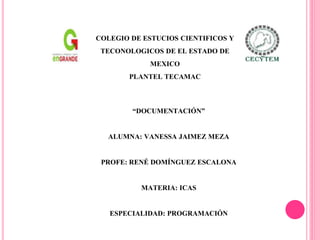 “DOCUMENTACIÓN”
ALUMNA: VANESSA JAIMEZ MEZA
PROFE: RENÉ DOMÍNGUEZ ESCALONA
MATERIA: ICAS
ESPECIALIDAD: PROGRAMACIÓN
COLEGIO DE ESTUCIOS CIENTIFICOS Y
TECONOLOGICOS DE EL ESTADO DE
MEXICO
PLANTEL TECAMAC
 