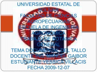 UNIVERSIDAD ESTATAL DE BOLÍVARFACULTAD DE CIENCIAS AGROPECUARIASESCUELA DE INGENIERÍA AGRONÓMICATRABAJO DE BOTÁNICA GENERALTEMA DOCUMENTAL DEL TALLODOCENTE ING. MANUEL GAIBORESTUDIANTE YESSICA VILLACISFECHA 2009-12-07 
