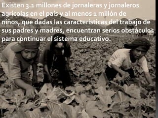 Existen 3.1 millones de jornaleras y jornaleros
agrícolas en el país y al menos 1 millón de
niños, que dadas las características del trabajo de
sus padres y madres, encuentran serios obstáculos
para continuar el sistema educativo.
 