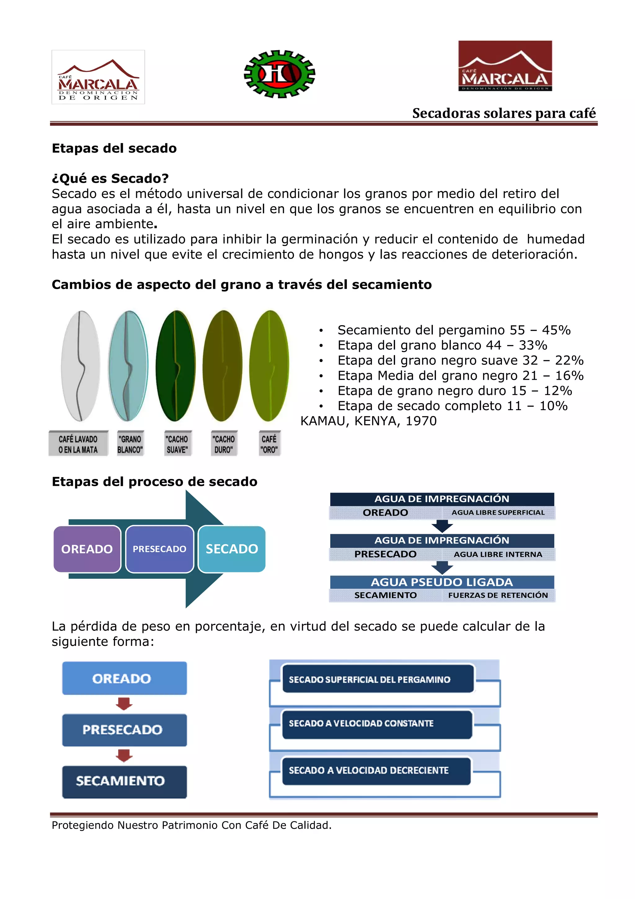 Secadoras solares para café
Protegiendo Nuestro Patrimonio Con Café De Calidad.
Etapas del secado
¿Qué es Secado?
Secado es el método universal de condicionar los granos por medio del retiro del
agua asociada a él, hasta un nivel en que los granos se encuentren en equilibrio con
el aire ambiente.
El secado es utilizado para inhibir la germinación y reducir el contenido de humedad
hasta un nivel que evite el crecimiento de hongos y las reacciones de deterioración.
Cambios de aspecto del grano a través del secamiento
• Secamiento del pergamino 55 – 45%
• Etapa del grano blanco 44 – 33%
• Etapa del grano negro suave 32 – 22%
• Etapa Media del grano negro 21 – 16%
• Etapa de grano negro duro 15 – 12%
• Etapa de secado completo 11 – 10%
KAMAU, KENYA, 1970
Etapas del proceso de secado
AGUA PSEUDO LIGADA
SECAMIENTO FUERZAS DE RETENCIÓN
AGUA DE IMPREGNACIÓN
PRESECADO AGUA LIBRE INTERNA
AGUA DE IMPREGNACIÓN
OREADO AGUA LIBRE SUPERFICIAL
La pérdida de peso en porcentaje, en virtud del secado se puede calcular de la
siguiente forma:
OREADO PRESECADO SECADO
 