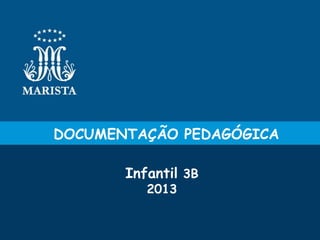DOCUMENTAÇÃO PEDAGÓGICA
Infantil 3B
2013

 