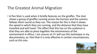 The Greatest Animal Migration
• A Pan Shot is used when it briefly features on the giraffes. The shot
shows a group of giraffes running across the horizon and the camera
follows them round as they run. The reason for this is that it shows
the speed in which they are running, and the distance that they have
travelled and will travel. The effect that this has on the audience is
that they are able to piece together the extremeness of the
environment in Africa. I am unsure on if I will use this technique in my
documentary, as I feel that it is only effective in certain circumstances,
such as this one.
 