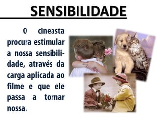 SENSIBILIDADE
 