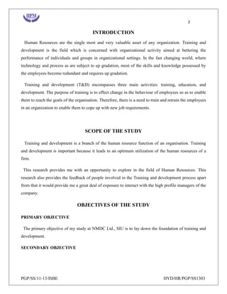 training and development project IIPM | DOCX