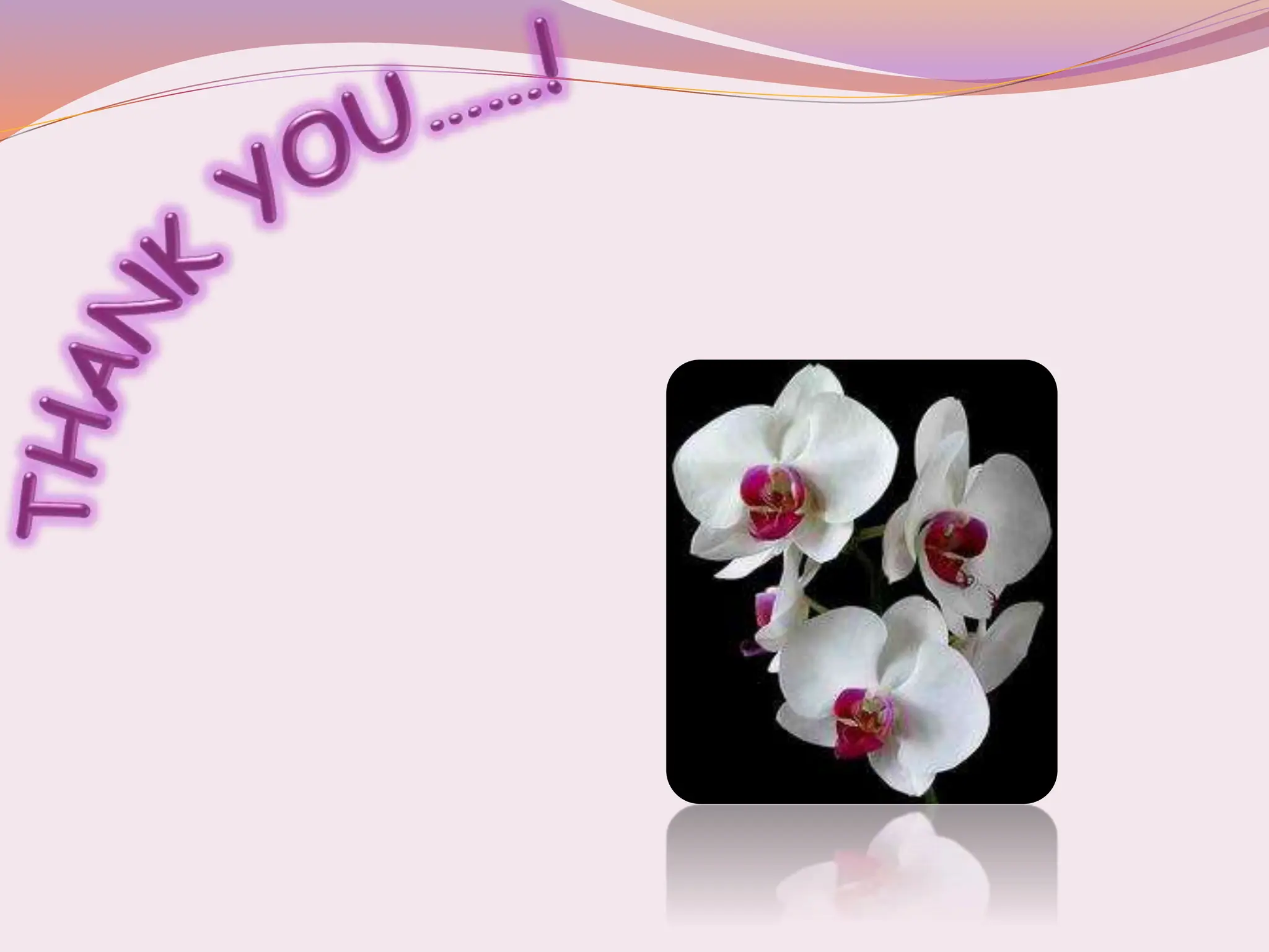 Nursing Foundation Documentation Nursing Ist Sem Students