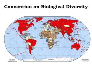 Convention on Biological Diversity
 