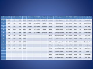 Shoes Example Database Database Shoe Manufacturing Store Project | PPTX