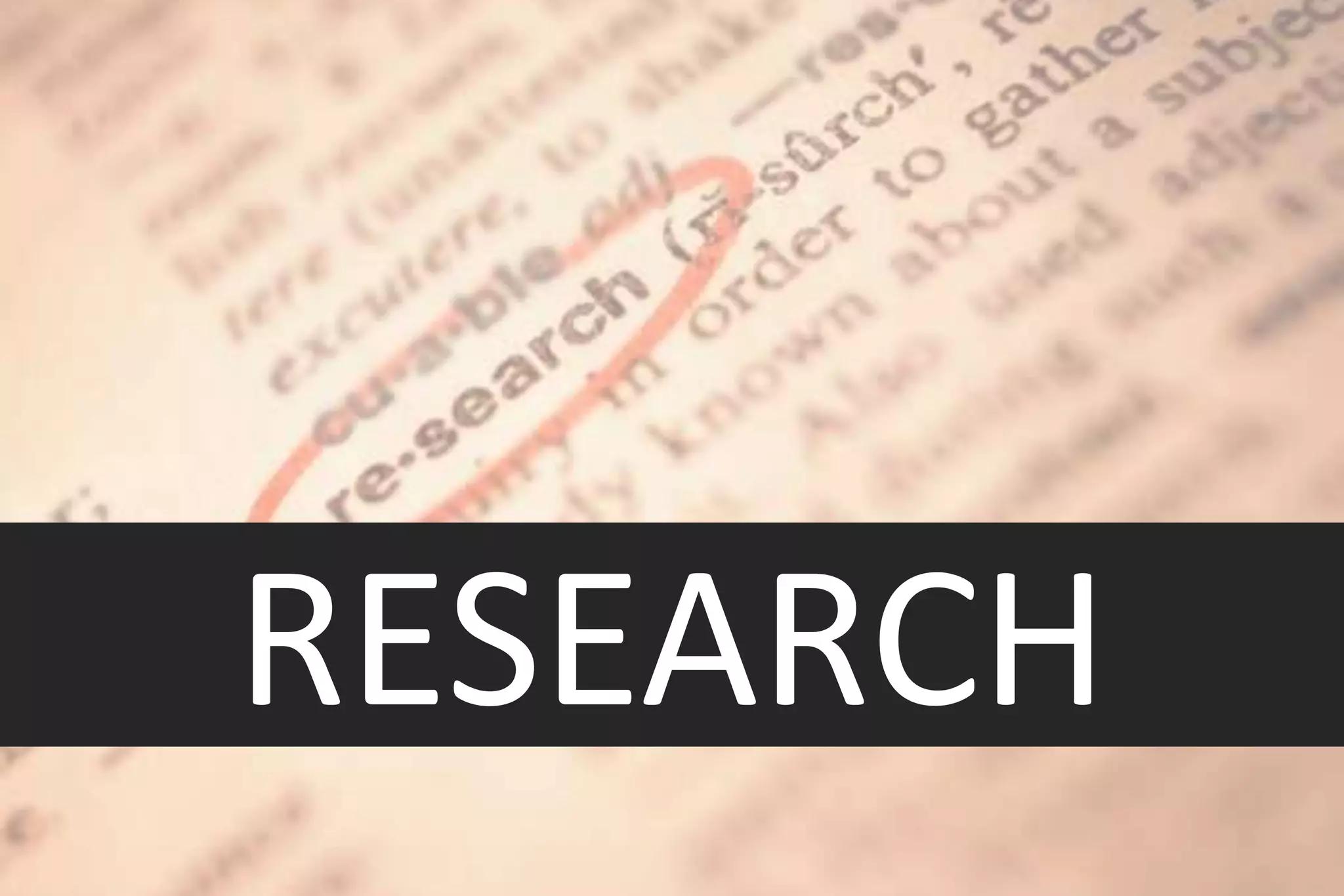 Document Development Life Cycle | PPTX