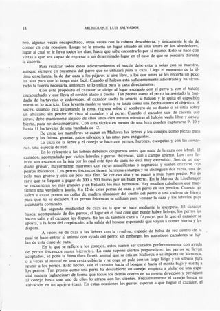 t8                                     ARCHIDUQUE LUIS SALVADOR



bro, algunas veces encapuchado,otras veces con la cabezadescubierta,y únicamente le da dri
com er enestaposición'Luegoseleen s e ñ a u n lu g a rs it u a d o e n u n a a lt u ra e n lo s a lre d e d o r g q '
                                                                                                          qo¡l
lugar al cual se le lleva todos los días, hasta que sabeencontrarlo por sí mismo. Esto se hace
viitas a que sea capaz de regresara uri determinadolugar en el caso de que se perdiera durantg
la cacería.
             Para rea!ízar todos estos adiestramientosel halcén debe estar a solas con su maestfo,
aunque siempre en pres€ncia del pemo que se utilizará para la caza"Llega el momento de la úl-
                                                                                                         pocQ
timaenseñaÁru, h áe dar ca71aa pájarosal aire libre, a los que antes se les recofa un
                                         los
las alas para que lo tenga más fácil. Cuando el halcón está       suficientementeadiestradoy ha alcan-
zado la fuerza necesarii entonces se lo utiliza para la caza directamente'
              Con este propásito el cazador se dirige al lugar escogido con el perro y con el halcóp
encapuchado y que lleva el cordón atado a                 Tan pronto como el perro ha avistado la ban-
                                                   "u"llo" la amarra al halcón y le quita el capuché5t
dada de bartaveias o codornices, el cazador suelta
                                                                                              el objetivo' A
 mientras lo acaricia. Este levanta raudo su vuelo y se lanza como una flecha contra
 veces, cuando está avizorando la zona, regresaiobre el sombrero de             su dueño o se sitúa sob¡p
                                                                                             de cacería cop
 un aliozano sin perder de vista al cazador y al perro. Cuando el cazador sale
                                                                                      vuela libre y descg-
 otros, debe mantinerse alejado de ellos unos cien metros mientras el halcón
                                                                                pueden capturarse9, tr0 y
 bierto, para no desconcertarle.Con esta táctica en menos de una hora
 hasta ll bartavelasde una bandadade 12.
                                                                                                 piezas pa¡a
              De entre los mamÍferos se cazanen Mallorca las liebres y los conejos como
 comer y las fuinas, ginetas, gatos salvajes,y las ratas para extiguirlos.
                                                                                           y       las cend(-
              La caza¿e ta tieUrey el conejo s" huc" con perros, hurones, escopetas con
 rds, una especiede red.
                                                                                              con lebrel' [i]
               En lo referente a las liebres debemosocuparnosantes que nada de la caza
                                                                                     abierto' Las cans [lc'
   cazador, acompañadopor varios lebreles y pen'os ibicencos, sale a campo
                                                                                             Son de un ne-
 brés son escasosen ta ista por lo cual esielipo de cazano estámuy extendido'
                                                                                    y suelen cnizarse cQn
 diano grosor, mayonnente marrones con rayás amarillenlas o negruzcas
                                                                                          dos razas' una efe
 perTos ibicencoS. Los perros ibicencos tienen hermosaestampay se distinguen
 pelo más grueso y otá de pelo más fino. Se cotizan alto           y se pagan a muy buen precio" No gs
                                                                      perro- En la Marina de Lluchrnaj¡rr
  raro que se lleguen a pagar-de 300 a 500 lliuras por un buen                                      que rn4+-
  i"                 loq más^grándes en Felanitx los más hermosos.Hay muchos caballeros
                                       y
                                                                    y    perro en sus predios' Cuan'<lo      f-lo
  tienen una verdaderajauría, A á n de estas perras de caza un
       "rróu.nt.ur
  salen a cazar ponen un collar de madera aliededor del         cuello del perro o una cadena de hierro
                                                                                   caza y ios lebreles pa¡a
  para que no se escapen. Las perras ibicencas se utilizan para venteat la
   alcanzarlacorriendo.
                                                                                     escopeta. E'l cazador
        .      La segunda modalidad de caza es la que se hace mediante la
                                                                       puede haber liebres, los perros lprs
  busca, acompañaJo:á" ¿o. perros, el lugar en el óud cree que
                                                                                  por 1o que el cazadorse
   hacen salir y el cazador les dispara.Se-lesda tambiéncazaal'Aguayt,
                        ¿"i crepúsculo,a la ,alida del bosqueesperando     que vayan a comer hierba y [ps
   ;;;;;;,;lu'io.u
   dispara"
                                                                                 bols-ade red dentro de la
               A veces se da caza alas liebres con la cendera, especie de
                                                                          los auténticos cazadoresse bqr-
   cual se hace entrar al animal con ayuda del perro; sin embargo,
   lan de esta clase de caza.                                                                       con ayu{a
                                                                                preferentemente
                En lo que se refiere a los conejos, estos suelen ser cazados
                                                                        preparativos:   los perros se llevpn
   de perros ibicencos (cans iuizenchs).La cazasuponeciertos
   acoplados, ,. porr"-lu fuina    (fura furot), animal que se cría en Mallorca o se importa de lvfenorqa'
                                                                           un largo látigo y un silbato pqra
   o a veces al mostel en una cesta cubierta y se coge un palo con
                                                                          o hacia el monte bu:9 v suelt4 a
    reunir a los perros. Esto hecho, sale el cazadarhácia el bosque
                                                                             empiezaa ulular de una espe=
    los perros. Tan pronto como una perra ha descubiertoun conejo,
                                                                            su misma dirección y persiguer-t
    cial manera (aglapeixar) de forma que todos los demáscorren en
                                                                                          el conejo btlsca su
    al conejo hasta que uno de ellos io atrapa con los dientes. Frecuentemente
    salvación en un agu3ero     (cau). En estas ocasiones perros esperana que llegue el cazador' el
                                                           los
 